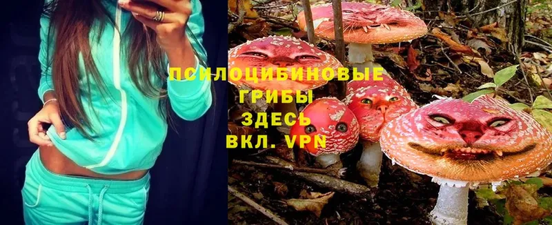 Галлюциногенные грибы Cubensis  hydra маркетплейс  Нижние Серги  как найти наркотики 